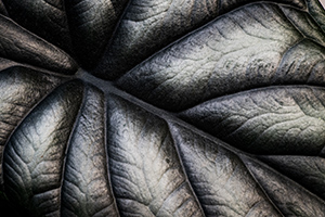 Urban Planning by Don Menges