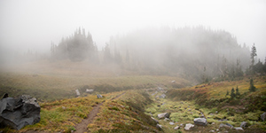 Misty Embrace by Jenny Stuart