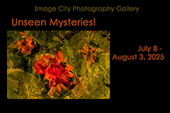 Unseen Mysteries Show card