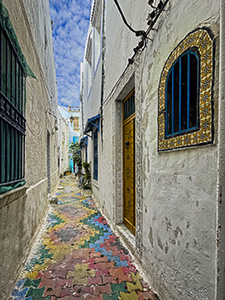 Colorful Walkway by Michell Turner