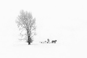 White Out by Tom Knauss