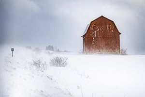 Still Standing by Nik Reynods