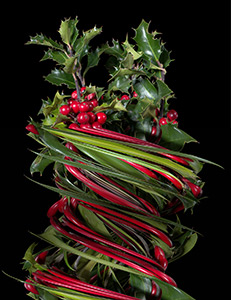 Holly Twist by Sheridan Vincent