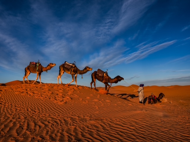 Sahara Desert by Steve Dent