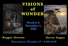 Visions of Wonder