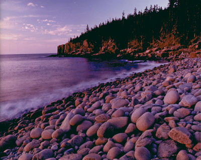 Round Rock at Otter Cliffs by Gary Thompson