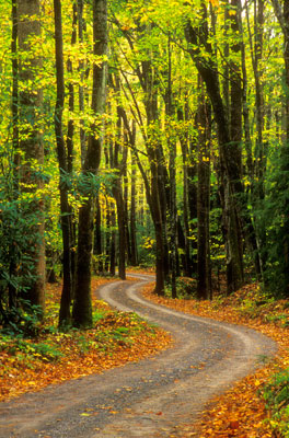 Greenbrier Highway by Gary Thompson