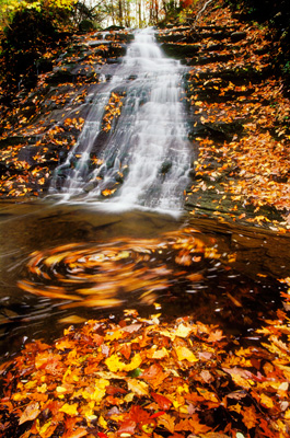 Whirlpool at Mystery Falls by Gary Thompson