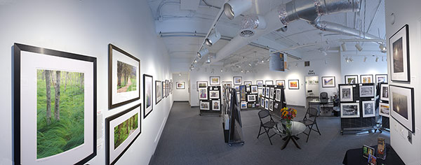 Gallery Interior