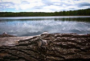 Mendon Ponds Park by Steve Levinson